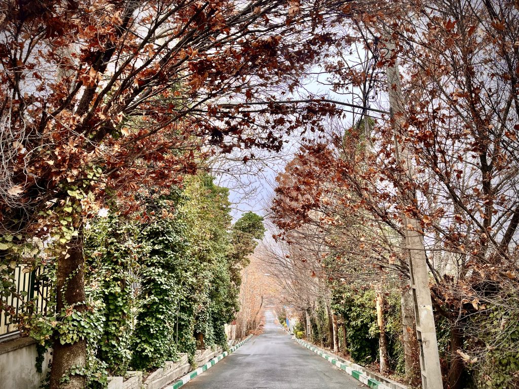 نمایی پاییزی از کوچه لواسان